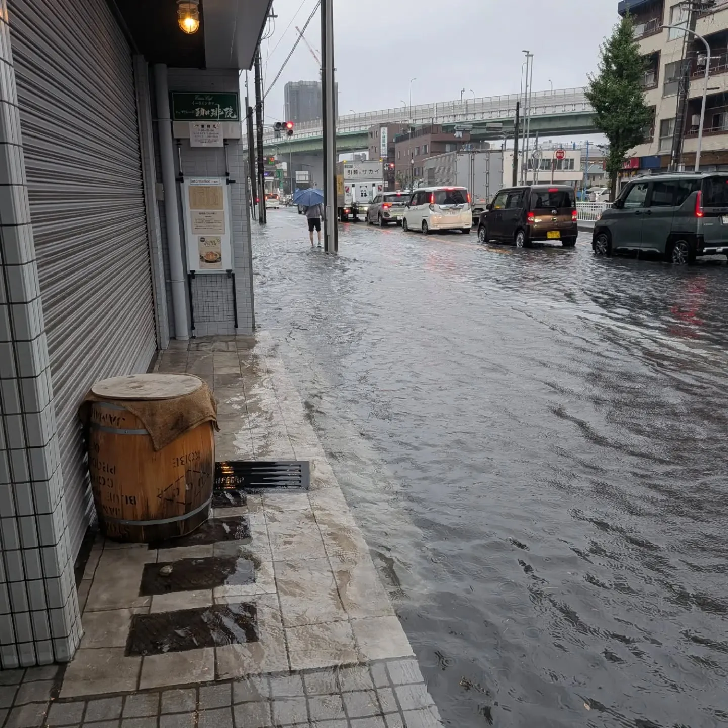 本日急遽閉店☔⁡