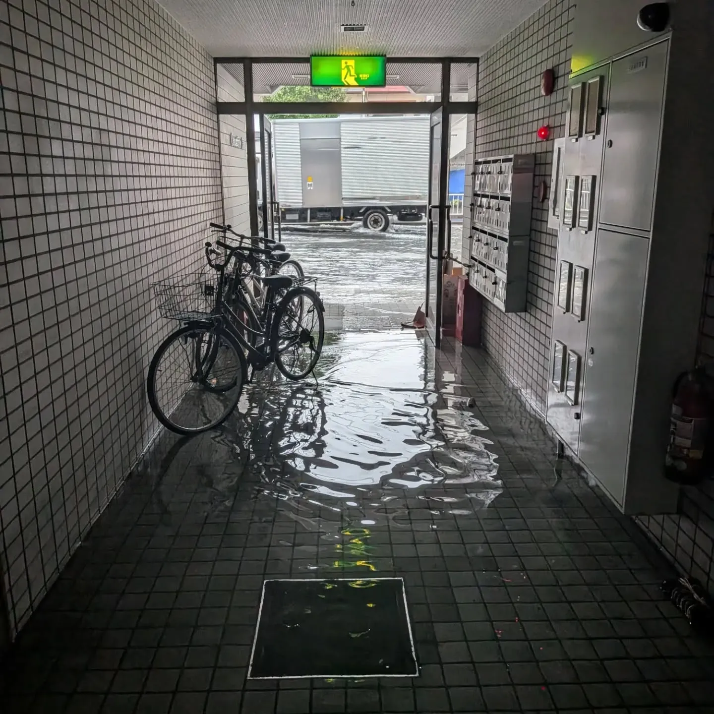 本日急遽閉店☔⁡