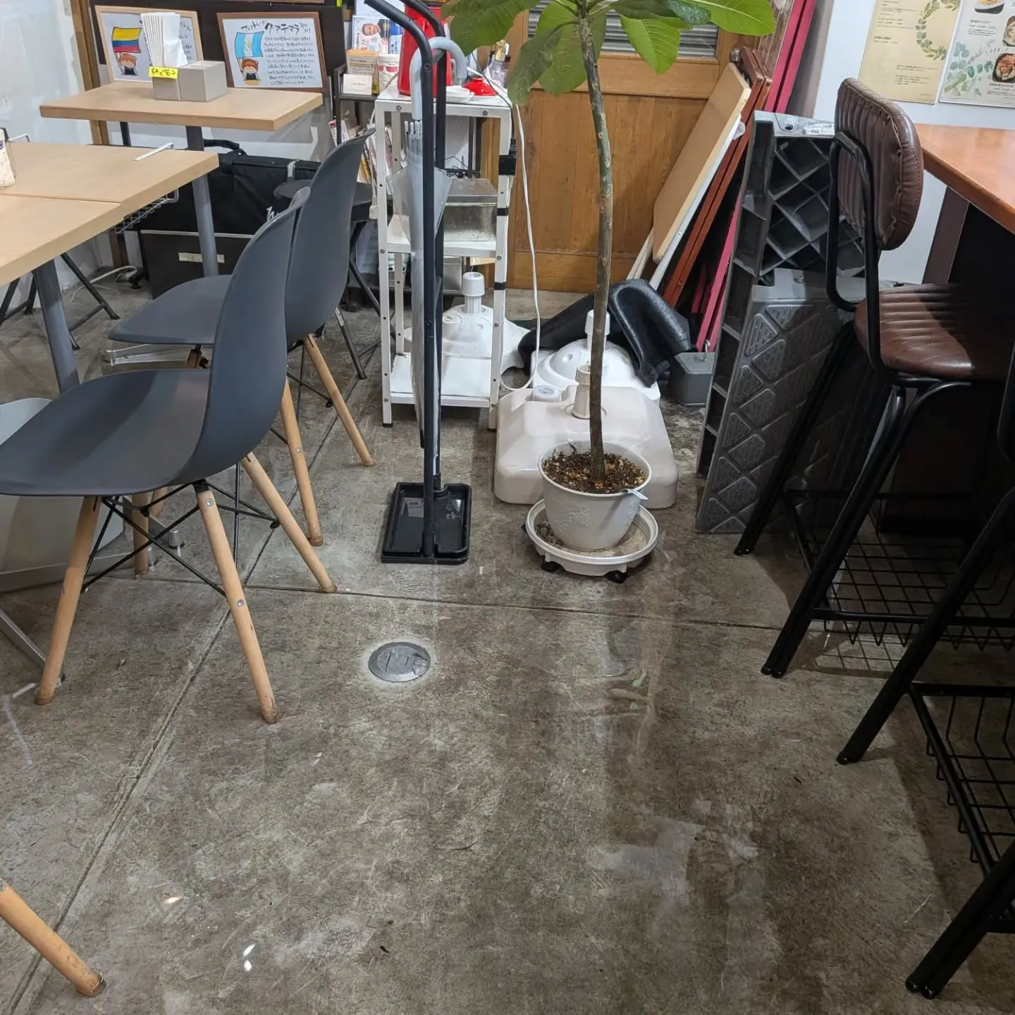 本日急遽閉店☔⁡