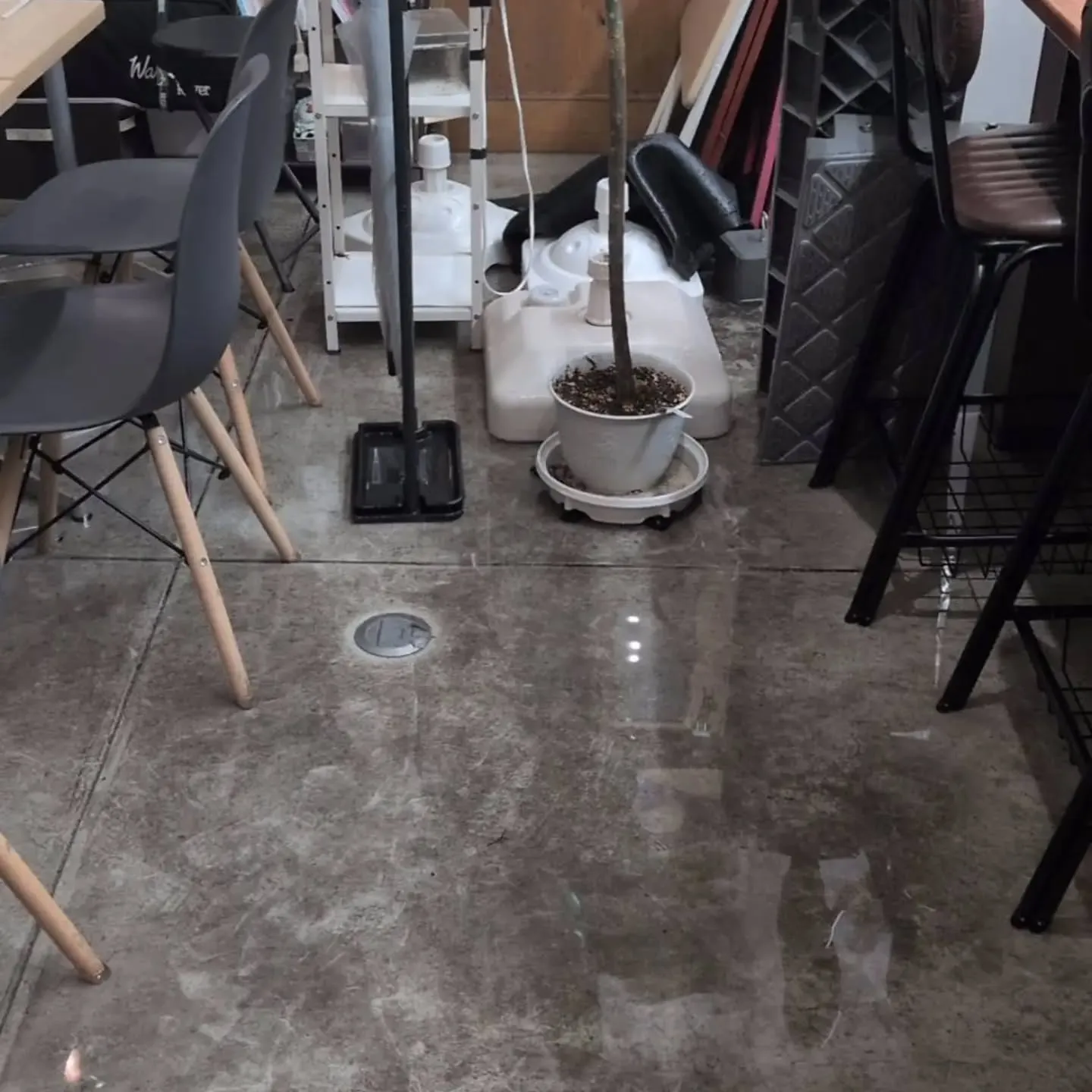 本日急遽閉店☔⁡