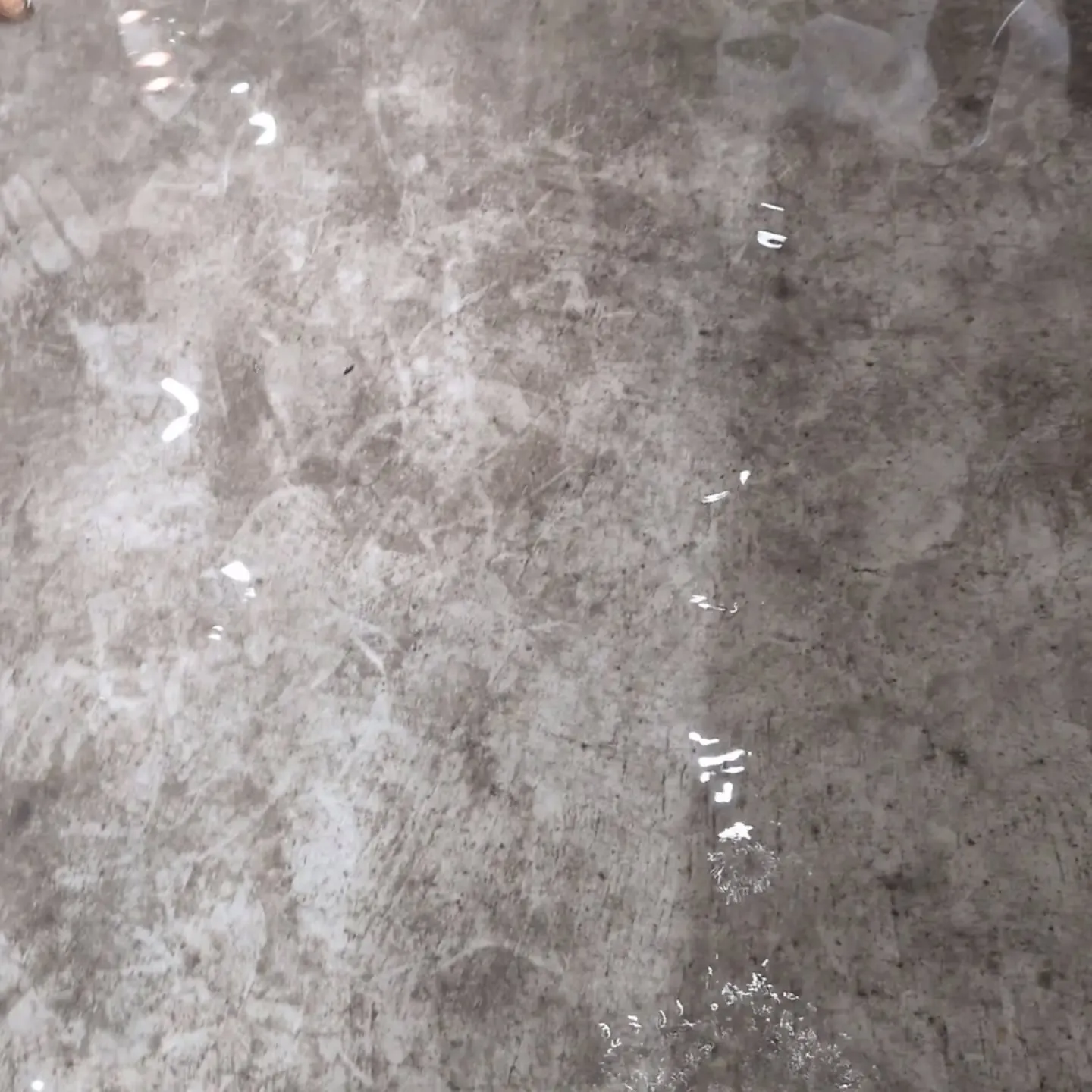 本日急遽閉店☔⁡